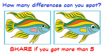 how-many-differences-can-you-spot