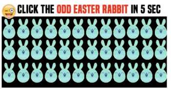 can-you-spot-the-odd-easter-rabbit
