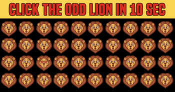 only-less-than-4-can-find-the-different-lion