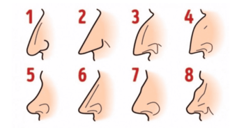 select-your-nose-shape-and-well-tell-you-about-your-personality