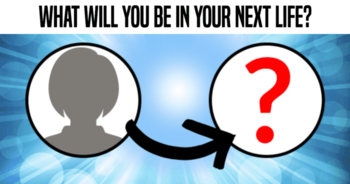 what-will-you-be-in-your-next-life