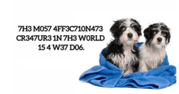 your-iq-is-153-if-you-pass-this-encrypted-animal-vocabulary-test