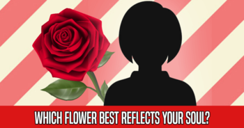 which-flower-best-reflects-your-soul