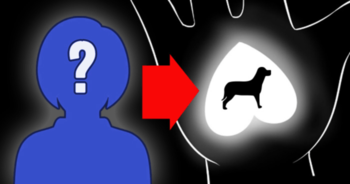 what-type-of-pet-matches-your-personality