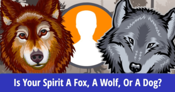 is-your-spirit-a-fox-a-wolf-or-a-dog