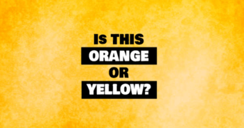 this-color-test-will-determine-what-type-of-intelligence-you-have