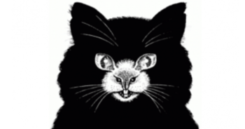 which-animal-do-you-see-first-the-answer-reveals-a-lot-about-your-character