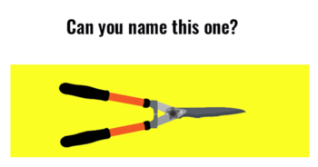 only-2-in-50-woman-can-name-these-garden-tools