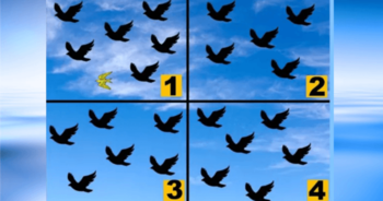 can-we-guess-your-age-by-the-way-you-memorize-details
