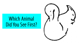 is-your-brain-easily-confused