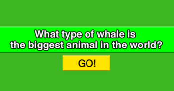 if-you-know-at-least-6-facts-your-iq-is-in-the-99th