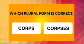 even-people-with-a-phd-find-this-test-difficult-can-you-spell-the-22-hardest-plural-words