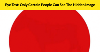 eye-test-only-certain-people-can-see-the-hidden-image