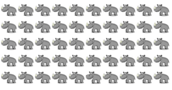 find-the-hippo-hiding-in-the-rhinos-only-people-with-sharp-vision-can-pass-this-test