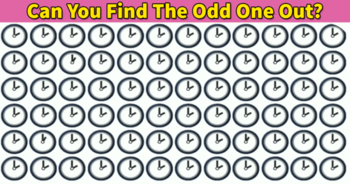 only-genius-can-spot-the-odd-one-out-in-less-than-30-seconds