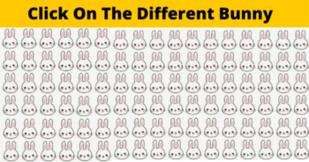 we-bet-you-cant-find-the-different-bunny-in-less-than-10-seconds