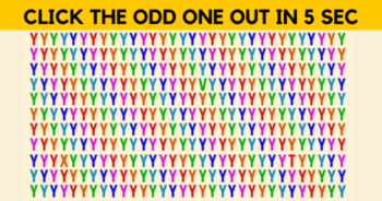 only-a-genius-can-see-the-odd-one-out-in-these-5-pictures-give-it-a-try