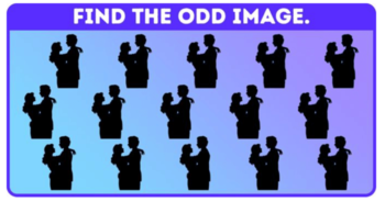 spot-the-different-silhouette-in-less-than-15-seconds