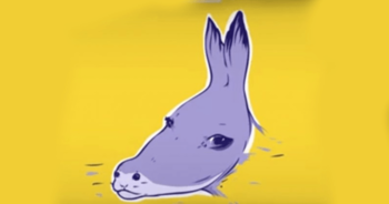 donkey-or-seal-a-visual-illusion-that-shows-your-personality