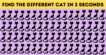 only-geniuses-can-find-all-the-differences-in-less-than-3-seconds