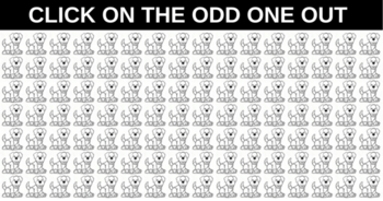 only-1-in-25-sharp-eyed-people-can-spot-the-odd-puppy-out