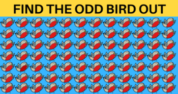 tricky-challenge-are-you-clever-enough-to-spot-the-3-different-birds