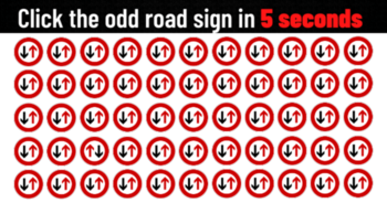 only-a-good-driver-can-find-the-different-road-signs-in-less-than-5-seconds