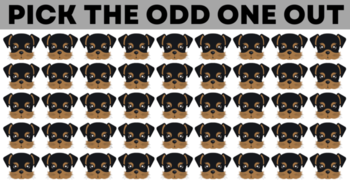 you-are-brilliant-if-you-can-find-all-the-odd-ones-out