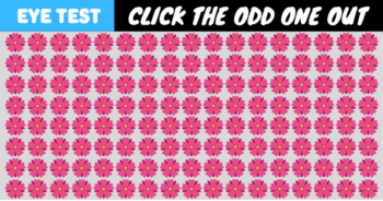 can-you-find-the-odd-flower-out-if-you-can-do-it-under-3-seconds-you-are-a-genius