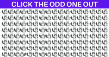 quiz-most-people-surprisingly-cant-pick-the-odd-one-out