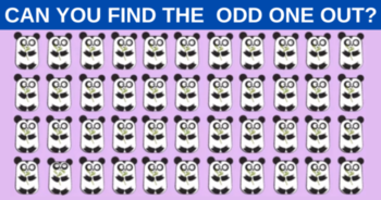 only-the-sharpest-eyes-can-spot-the-odd-one-out-within-5-seconds