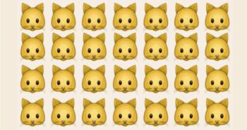 you-have-a-very-sharp-brain-if-you-can-find-the-odd-one-out