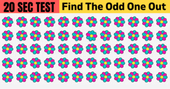 you-have-5-seconds-for-each-picture-so-dont-cheat