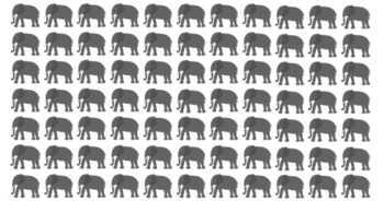 find-3-odd-elephants-hiding-in-the-herd-only-people-with-sharp-eyes-can-ace-this