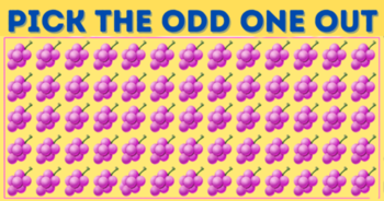 only-attentive-people-will-find-the-odd-one-out-in-less-than-5-seconds