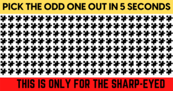 this-hard-odd-one-out-quiz-is-only-for-the-sharp-eyed