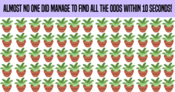 almost-no-one-did-manage-to-find-all-the-odds-within-10-seconds