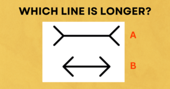 can-you-ace-this-iq-test