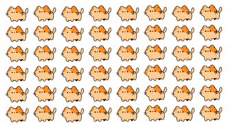 can-you-find-the-3-odd-cats