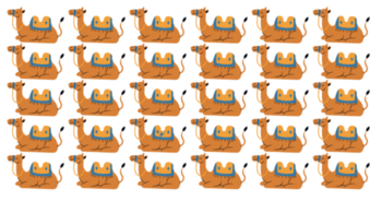 can-you-find-them-hidden-camel