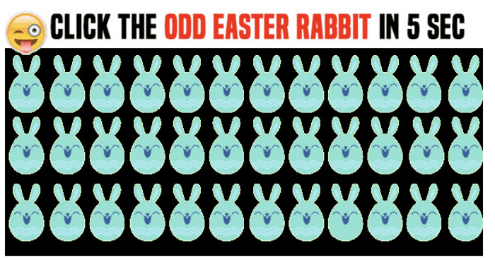 can-you-spot-the-odd-easter-rabbit-quiz