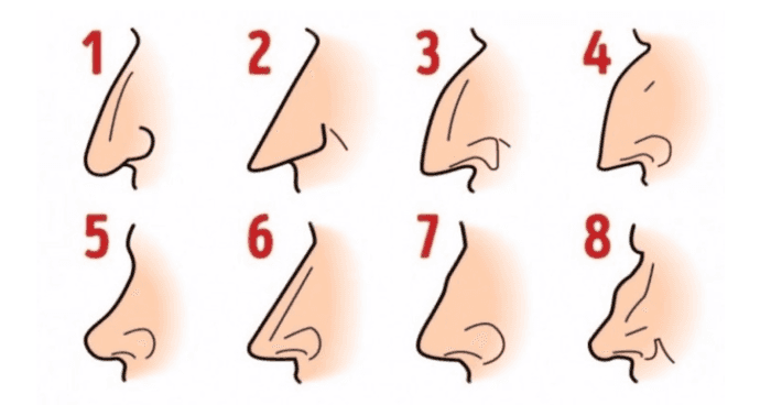 select-your-nose-shape-and-well-tell-you-about-your-personality
