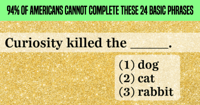 94-of-americans-cannot-complete-these-24-basic-phrases
