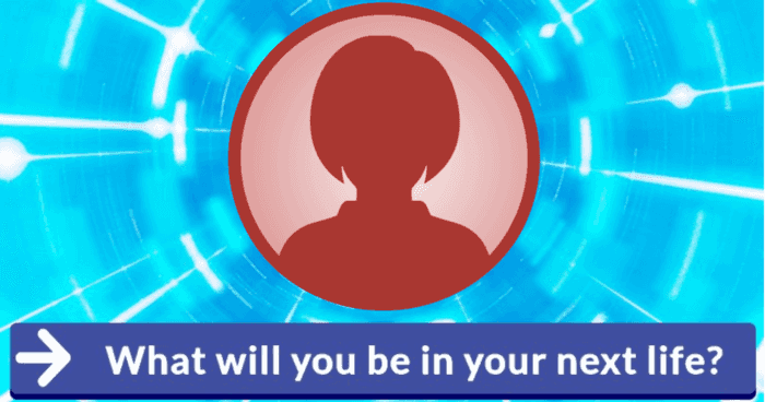 what-will-you-be-in-your-next-life