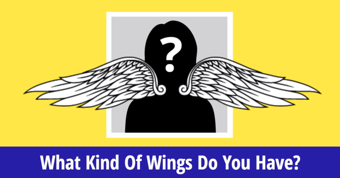 what-kind-of-wings-do-you-have