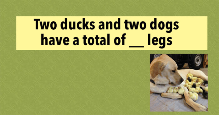 only-3-in-100-women-passed-this-tricky-iq-test-will-you