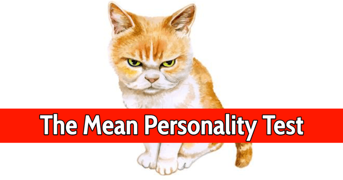 the-mean-personality-test
