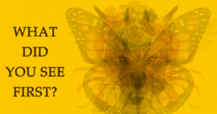 who-were-you-in-your-past-life-according-to-what-you-saw-first