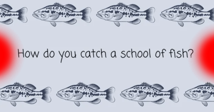 youll-never-solve-even-half-of-these-easy-riddles