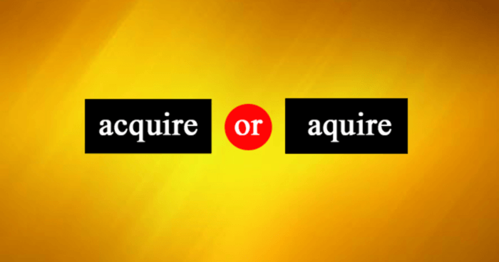 we-gave-this-basic-spelling-quiz-to-100-americans-and-only-21-passed-it